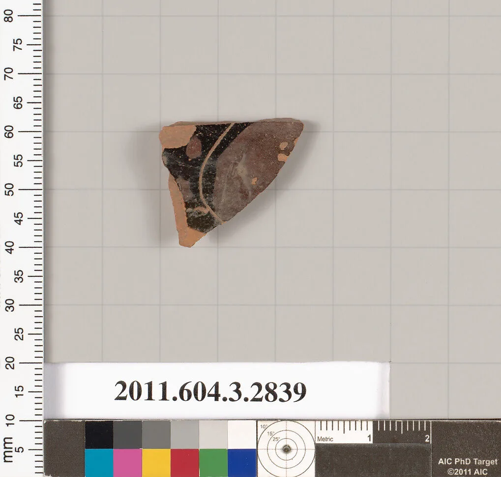 Terracotta fragment of a closed shape — Unknown