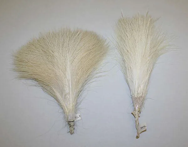 Aigrette — Unknown