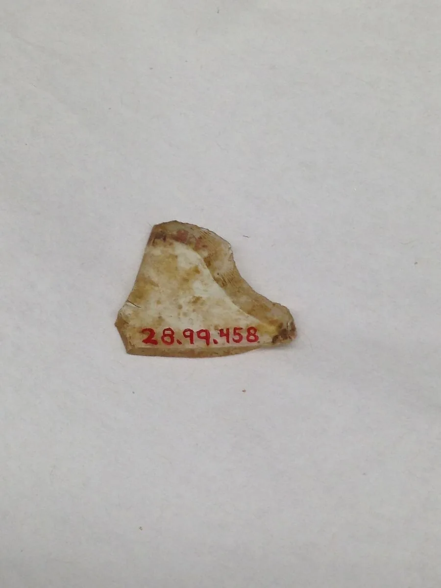 Fragment — Unknown