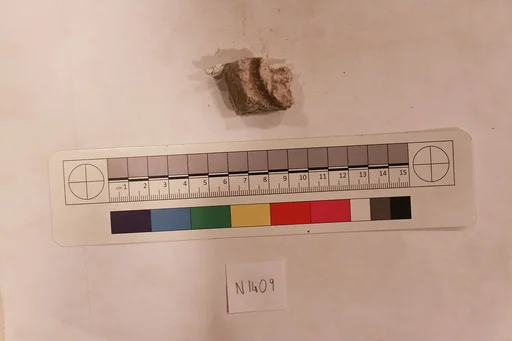 Stucco Fragment