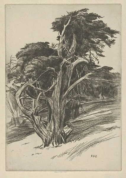 Plume of Balboa — Ernest Haskell