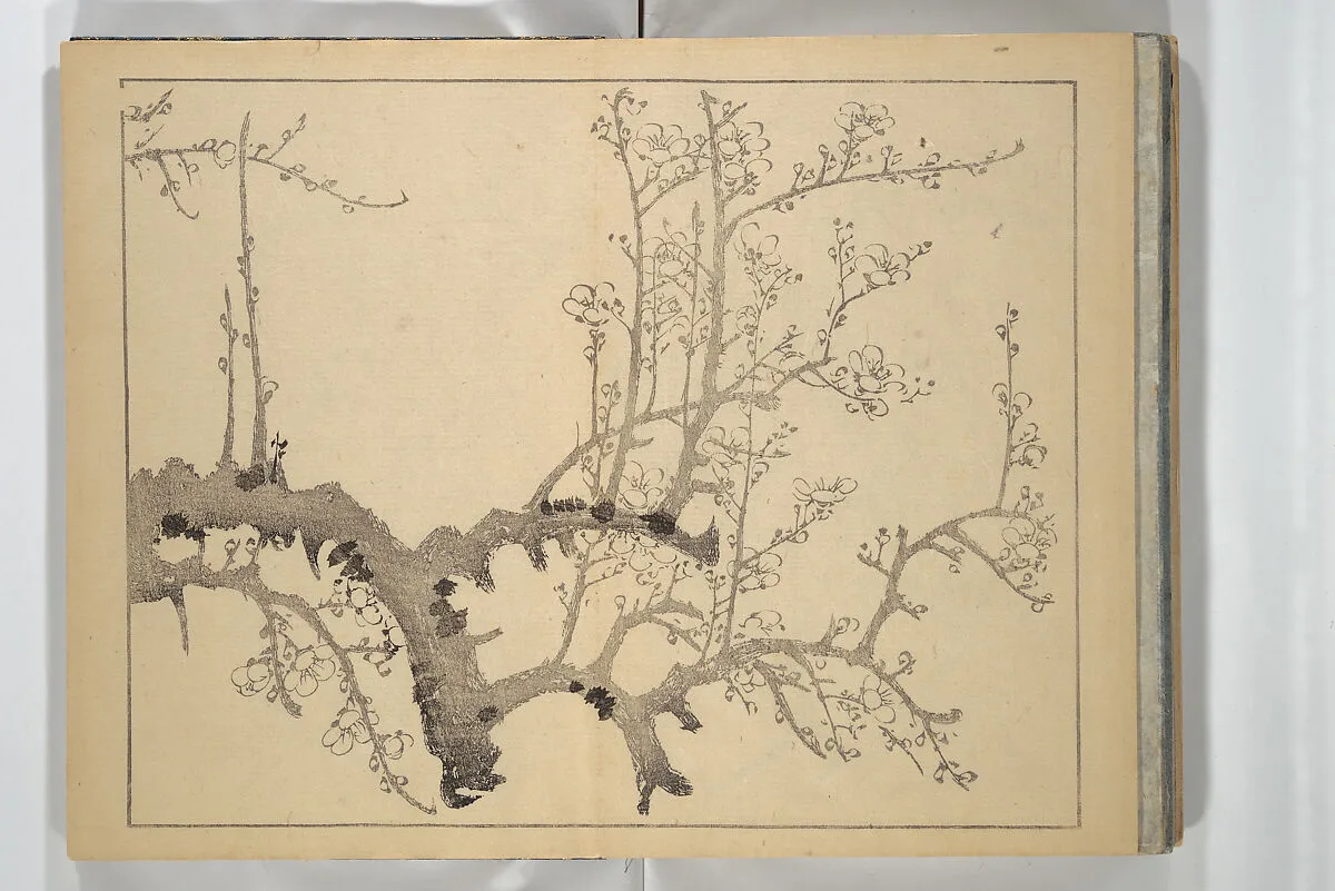 Untitled — Nakabayashi Chikutō 中林竹洞