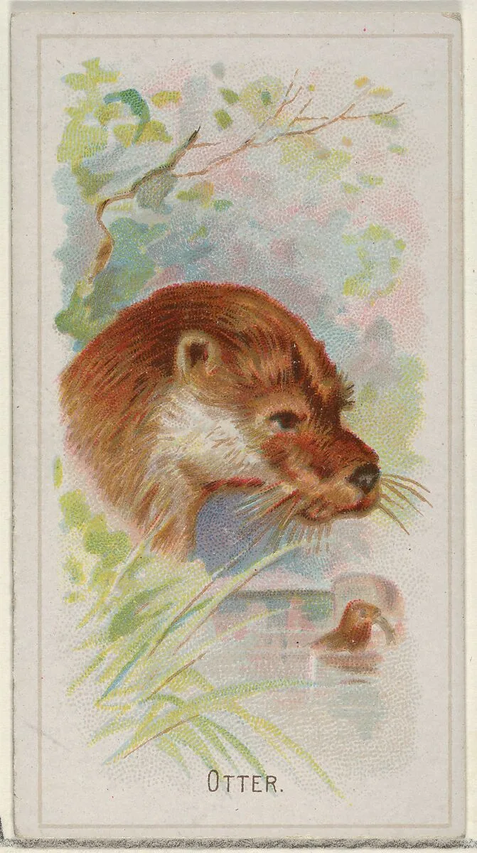 Otter, from the Wild Animals of the World series (N25) for Allen & Ginter Cigarettes — Allen & Ginter|George S. Harris & Sons
