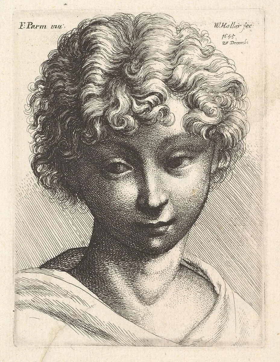 Head of a young girl — Wenceslaus Hollar|Parmigianino (Girolamo Francesco Maria Mazzola)