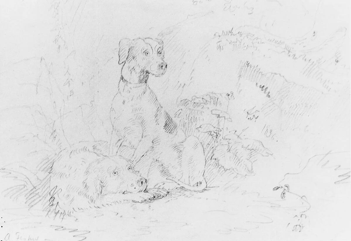 Scene with Dogs (from McGuire Scrapbook) — Alvan Fisher