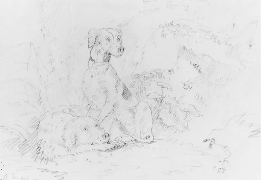 Scene with Dogs (from McGuire Scrapbook)