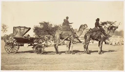 [ A Travelling Camel Carriage from Lahore to Peshawar, Governor General's Camp]