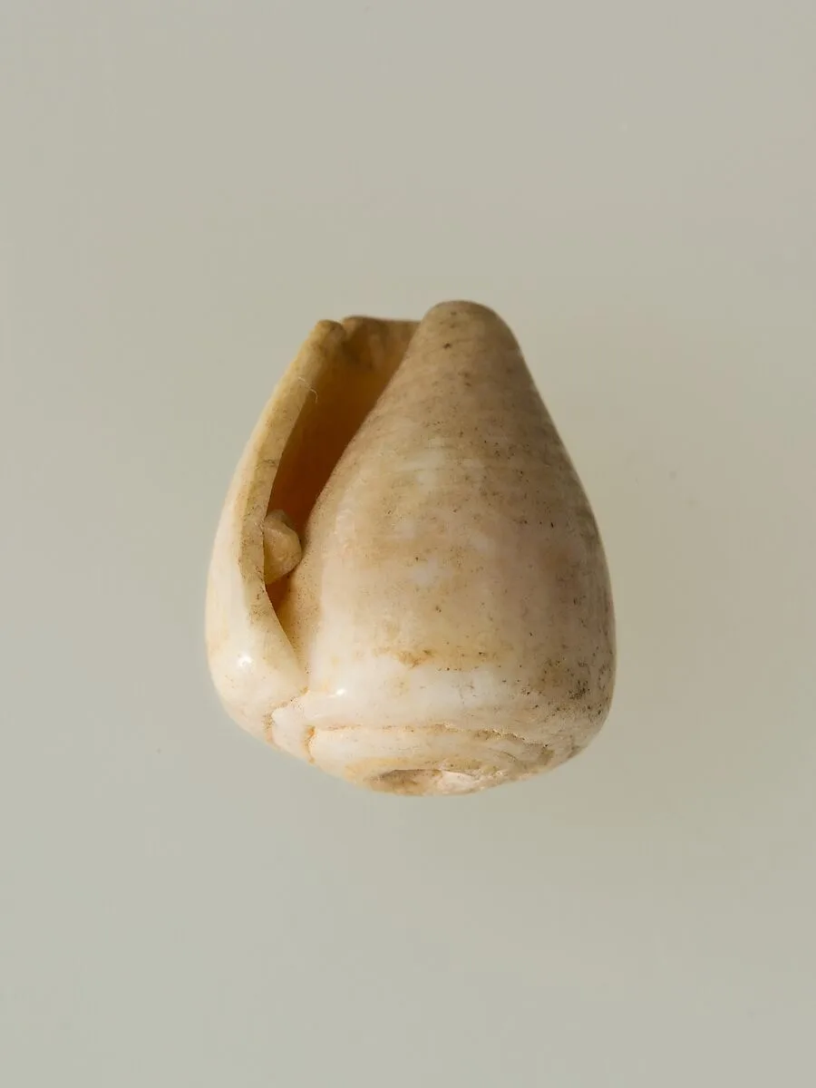 Shell pendant or bead — Unknown