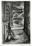In the Alley