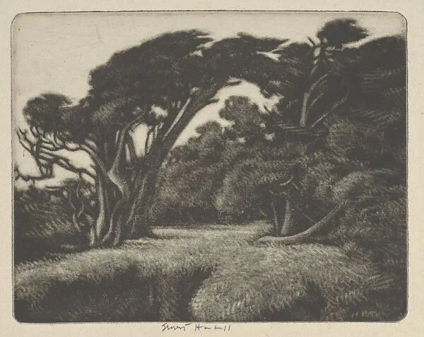 Cypress Bower — Ernest Haskell