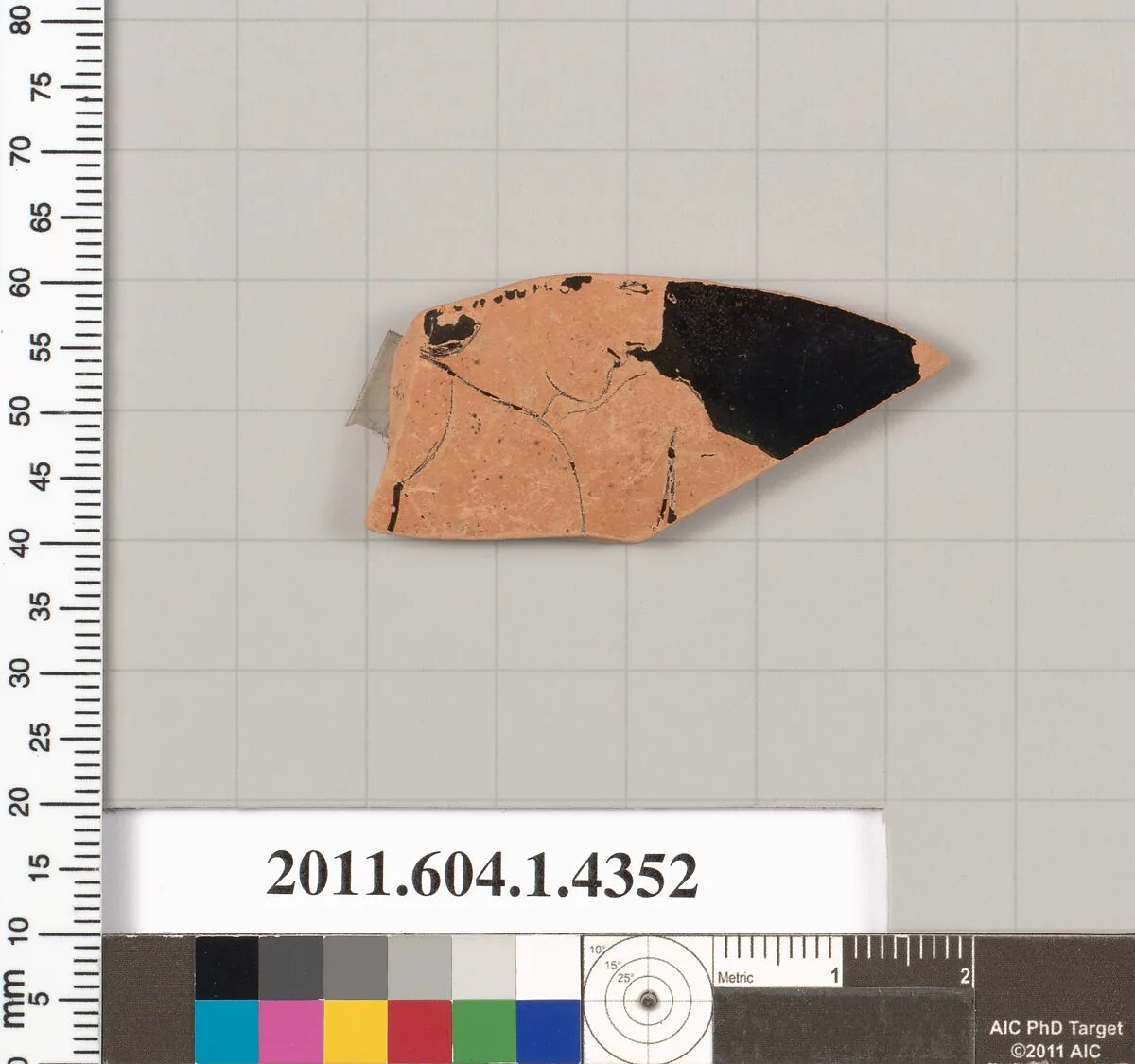 Terracotta fragment of a kylix (drinking cup) — Unknown