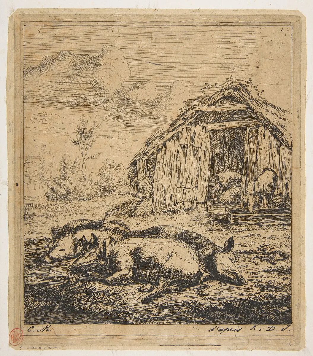 Three Pigs Lying in Front of a Shed — Charles Meryon|Karel Dujardin