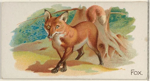 Fox, from the Quadrupeds series (N21) for Allen & Ginter Cigarettes