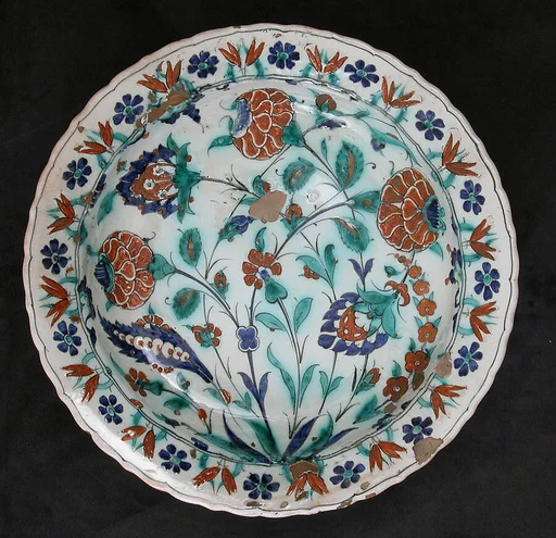 Dish