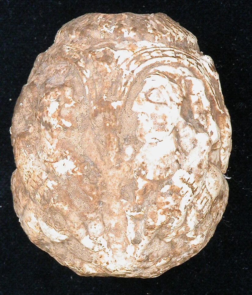 Mace Head — Unknown