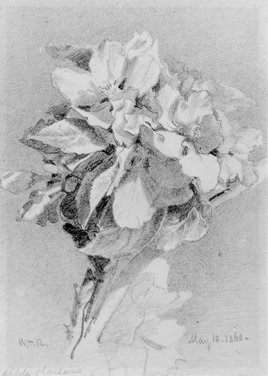 Apple Blossoms — William Trost Richards