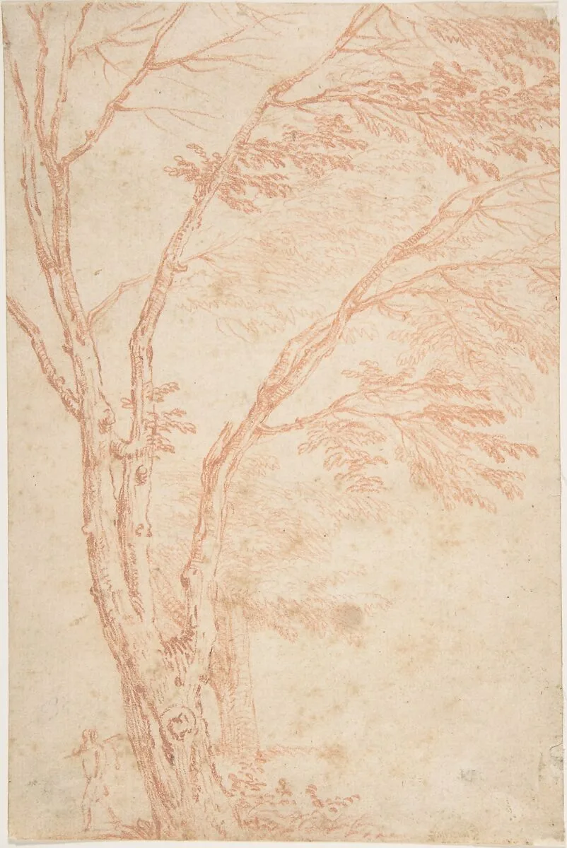 A tree and figure — Anonymous, French, 18th century|Claude Lorrain (Claude Gellée)