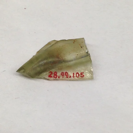 Fragment
