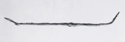 Rod