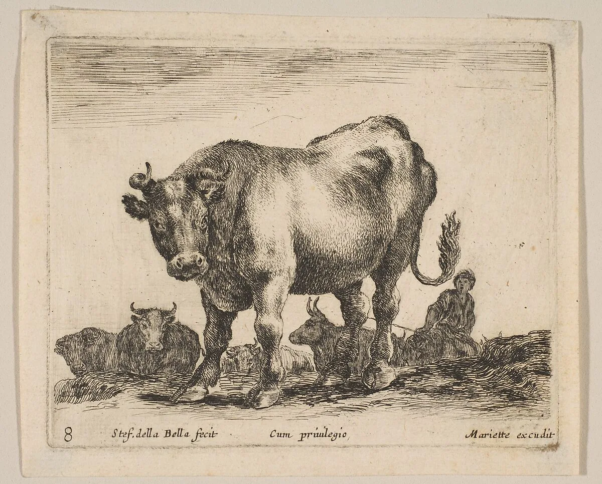 Plate 8: Ox, from "Various animals" (Diversi animali) — Stefano della Bella|Pierre Mariette