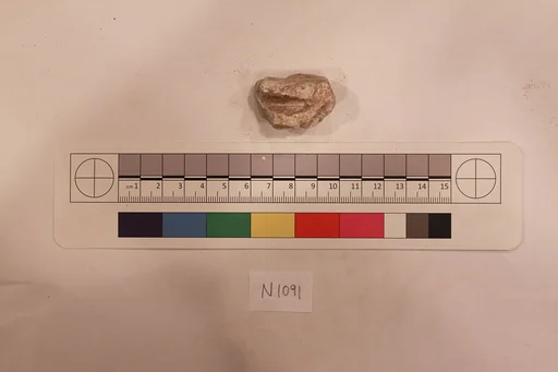Stucco Fragment