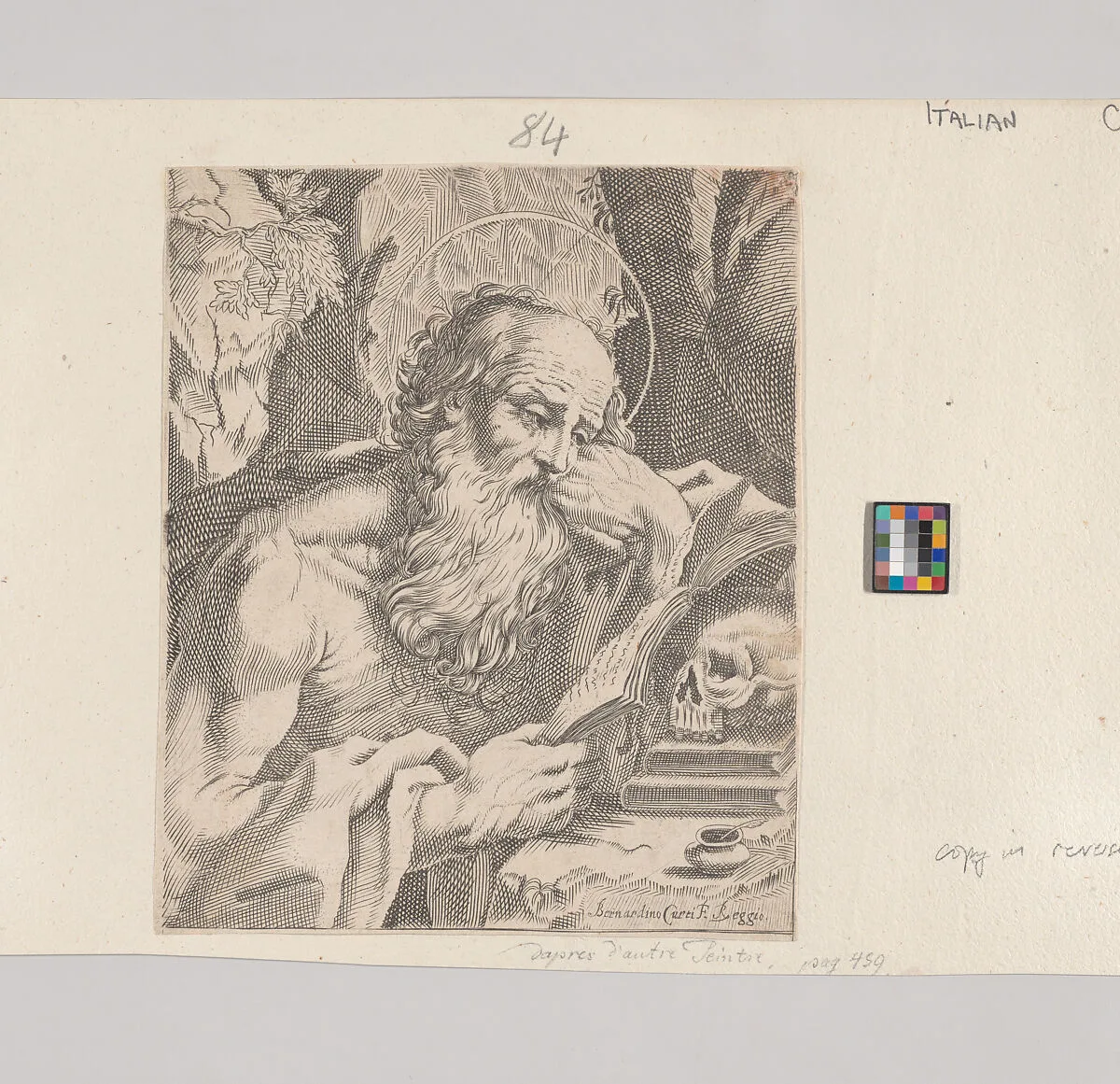 Saint Jerome Reading — Bernardino Curti
