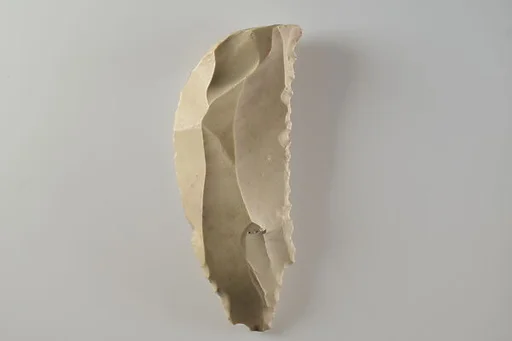 Denticulated knife with a tang, made from a blade