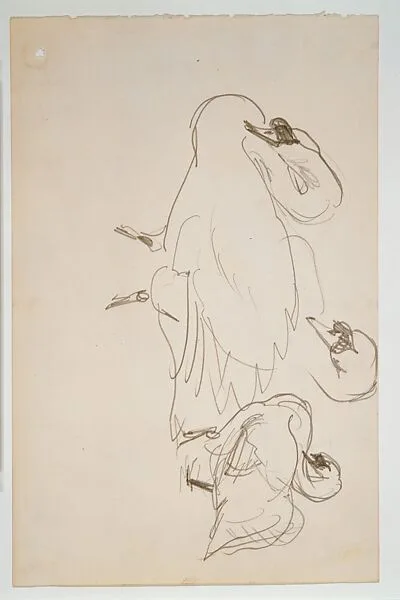 Swans — John Singer Sargent