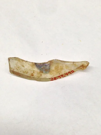 Fragment