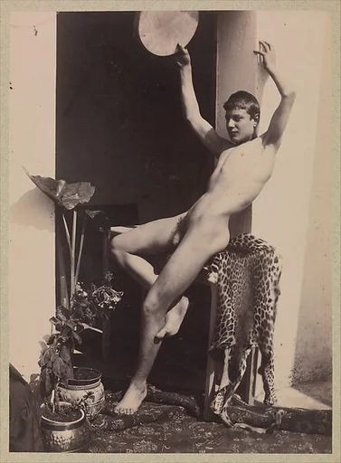 [Young Male Nude Seated on Leopard Skin]