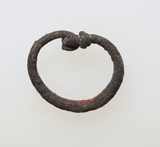 Earring-loop type