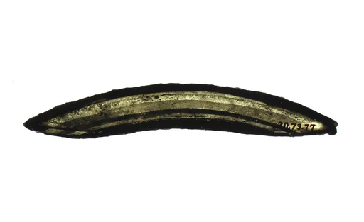 Fragment