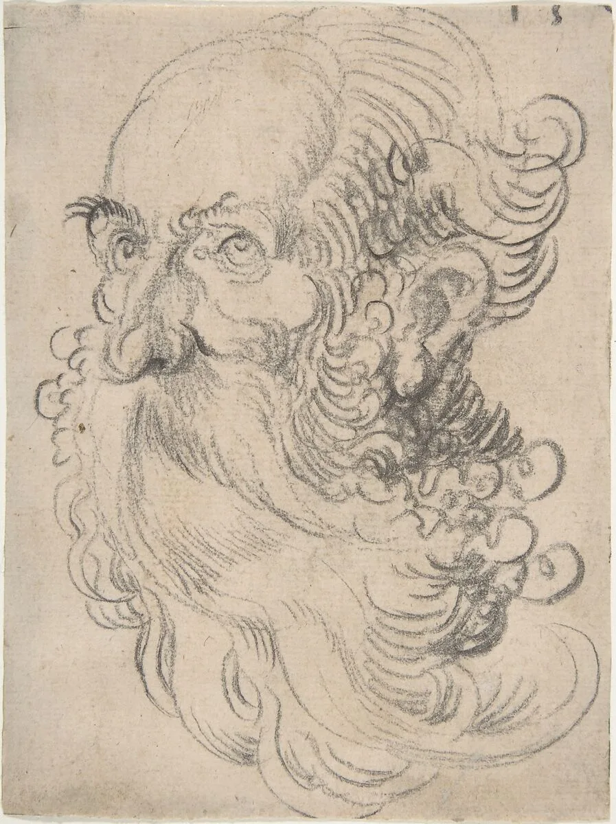 Head of a Bearded Old Man — Hans Baldung (called Hans Baldung Grien)|Sebald Beham|Wolfgang Huber