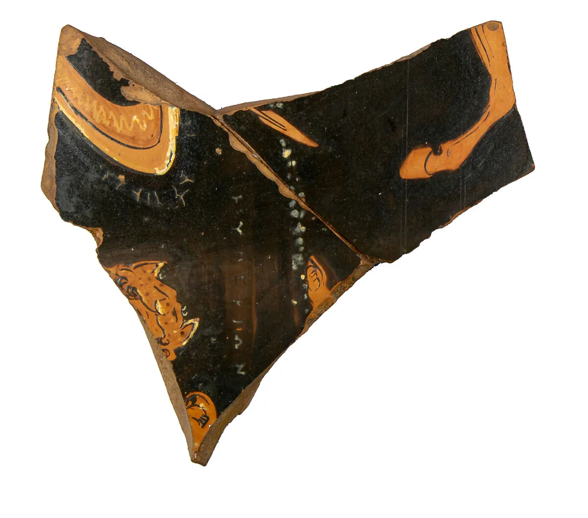 Volute-krater fragment — Unknown