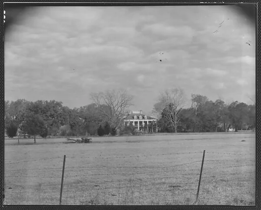 [Sevenoaks Plantation, From Across Field and Behind Wire Fence, Jefferson Parish, Louisiana]