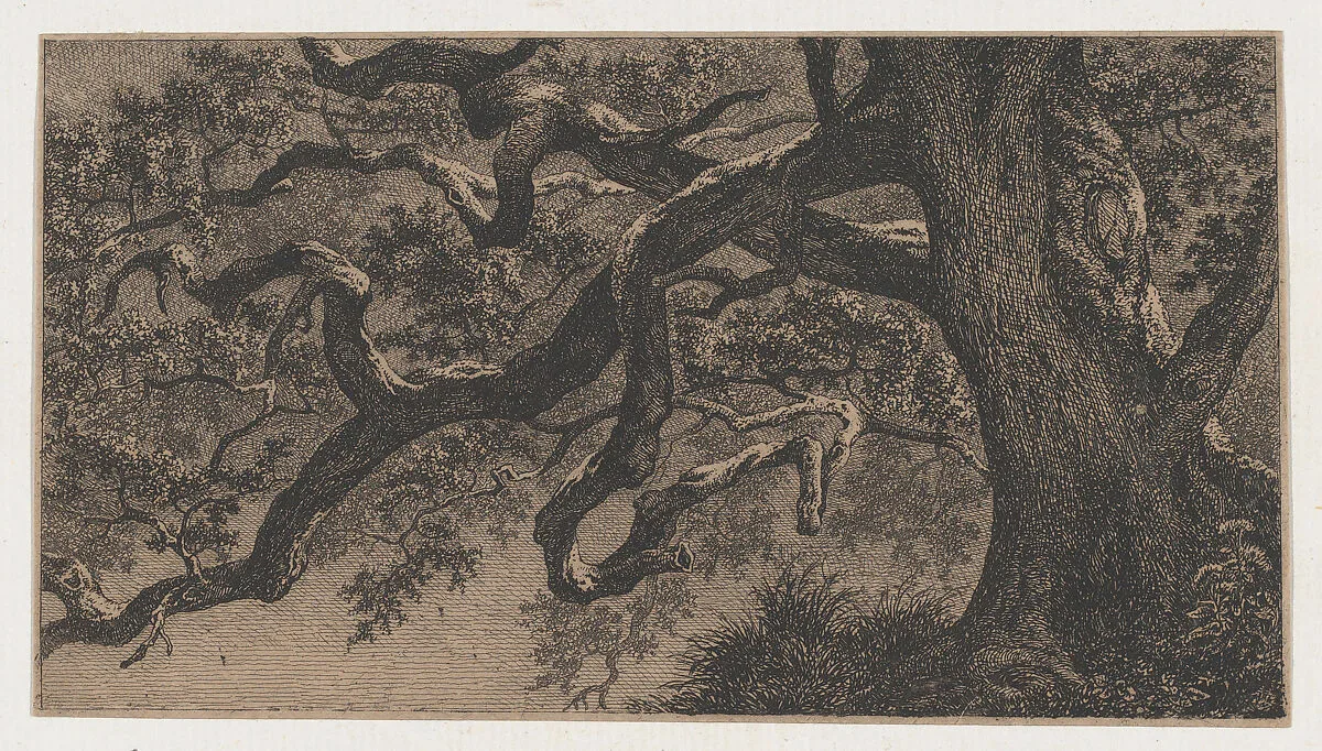 The Branches of an Oak Tree — Eugène Stanislas Alexandre Bléry