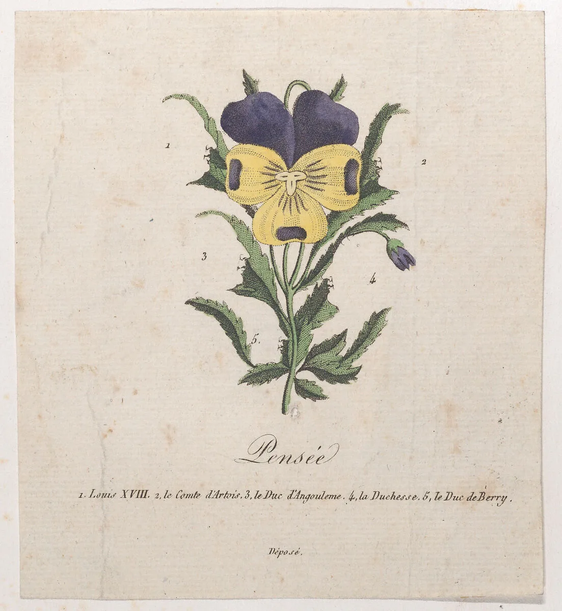 Pansy with hidden silhouettes — Marie-Caroline de Bourbon-Sicile, duchesse de Berry|Anonymous|Charles Philippe, comte d'Artois|Charles Ferdinand Duke of Berry|Louis XVIII, King of France|Louis Antoine de Bourbon, Duc d'Angoulême