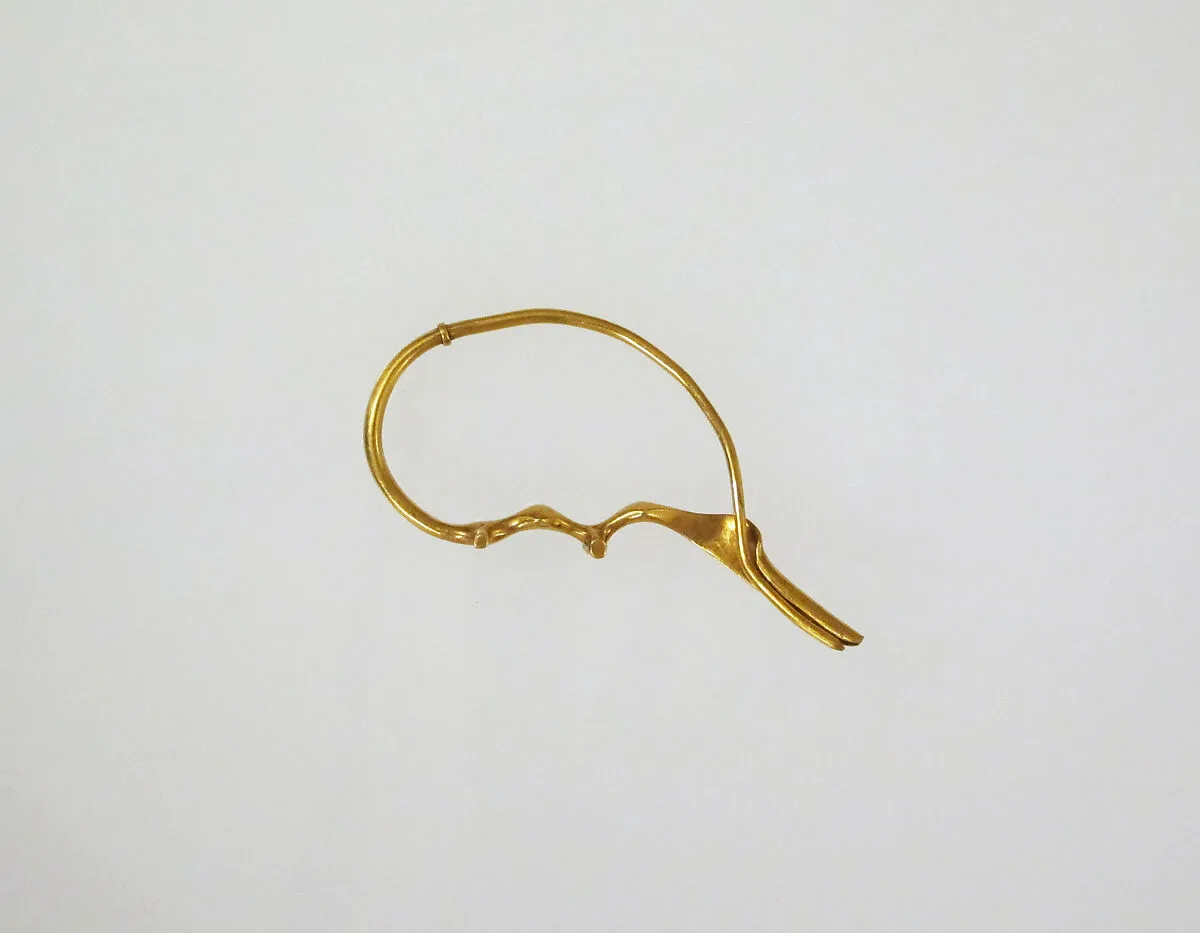 Fibula, serpentine type — Unknown