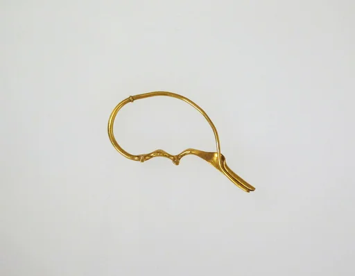 Fibula, serpentine type