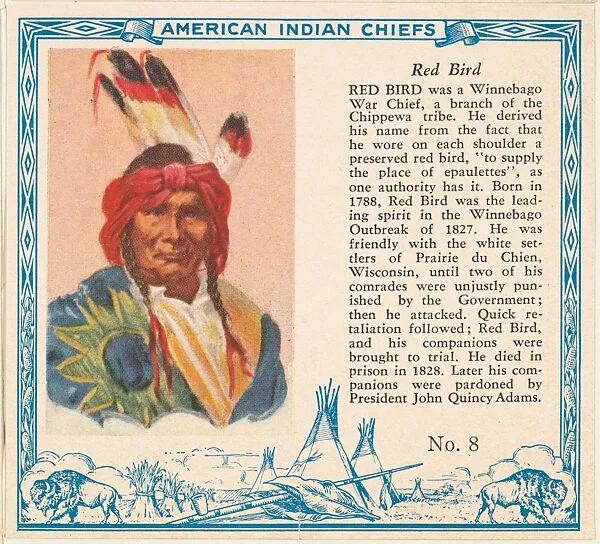 Card No. 8, Red Bird, from the Indian Chiefs series (T129) issued by Red Man Chewing Tobacco — Red Man Chewing Tobacco