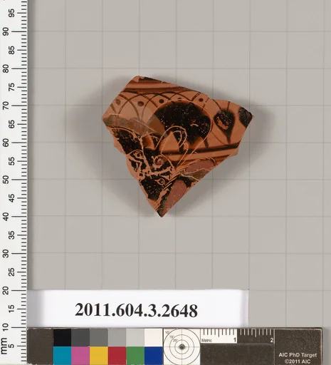 Terracotta fragment of a lebes (deep bowl)?