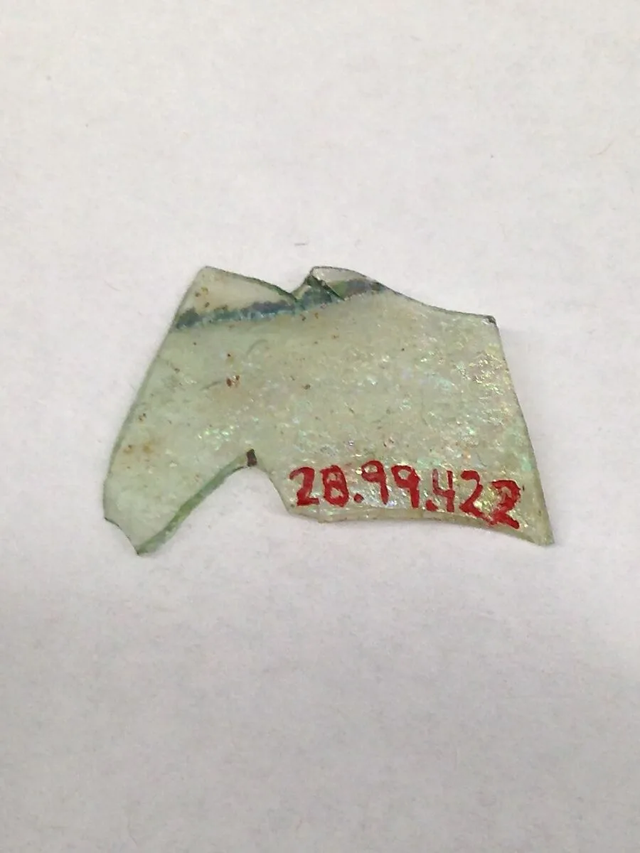 Fragment — Unknown