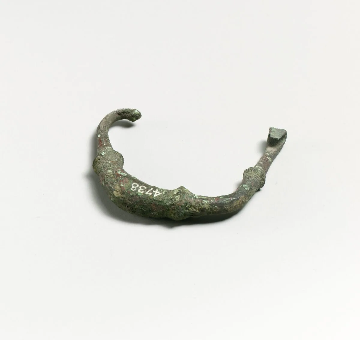 Fibula, fragment — Unknown
