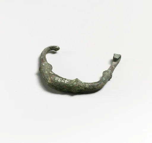 Fibula, fragment