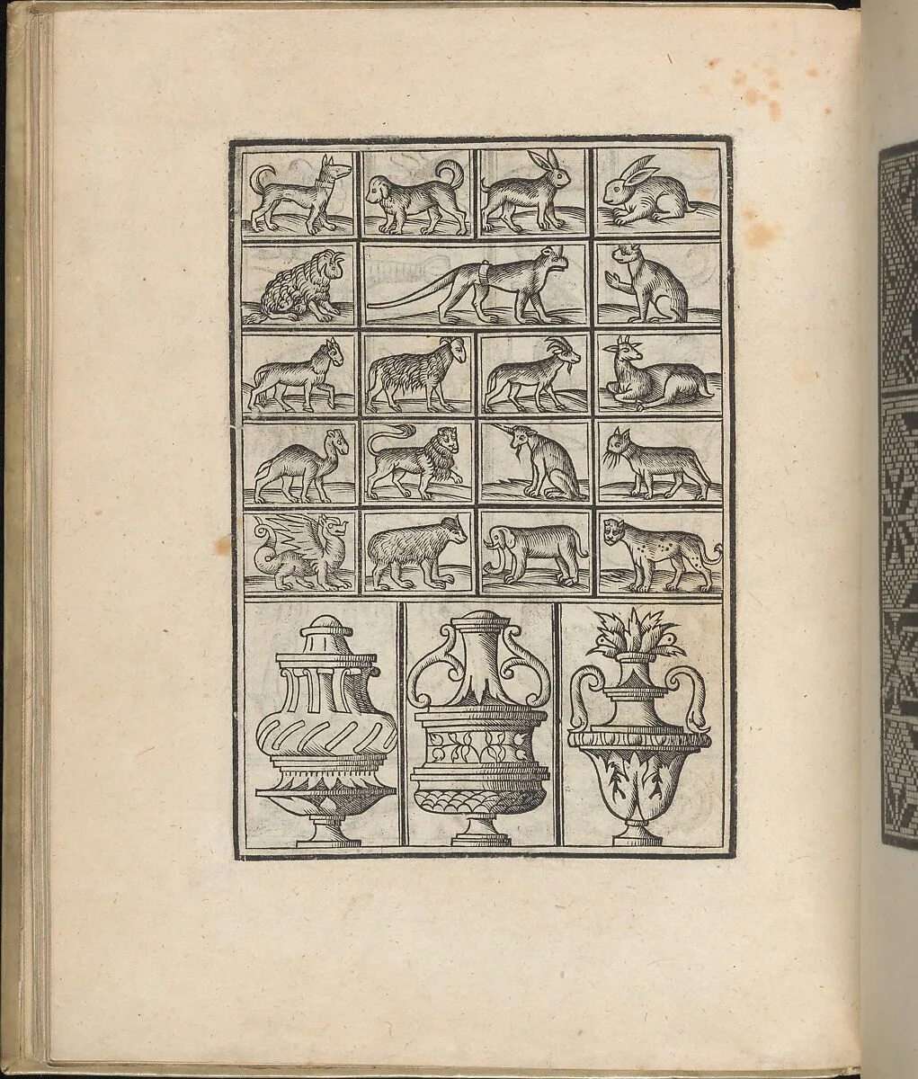 Trionfo Di Virtu. Libro Novo..., page 24 (recto) — Matteo Pagano