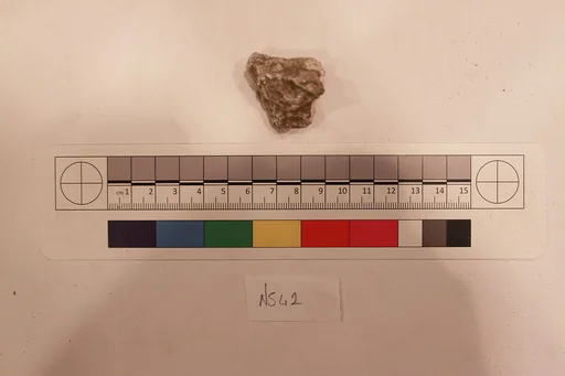Stucco Fragment