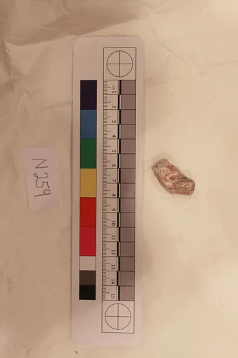 Stucco Fragment