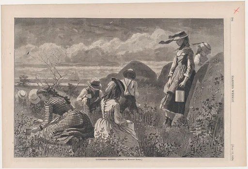 Gathering Berries (from "Harper's Weekly," Vol. XVIII)