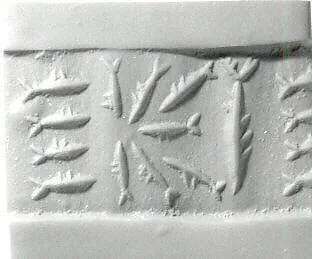 Cylinder seal — Unknown