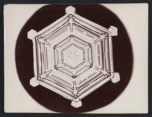 [Snow Crystal]